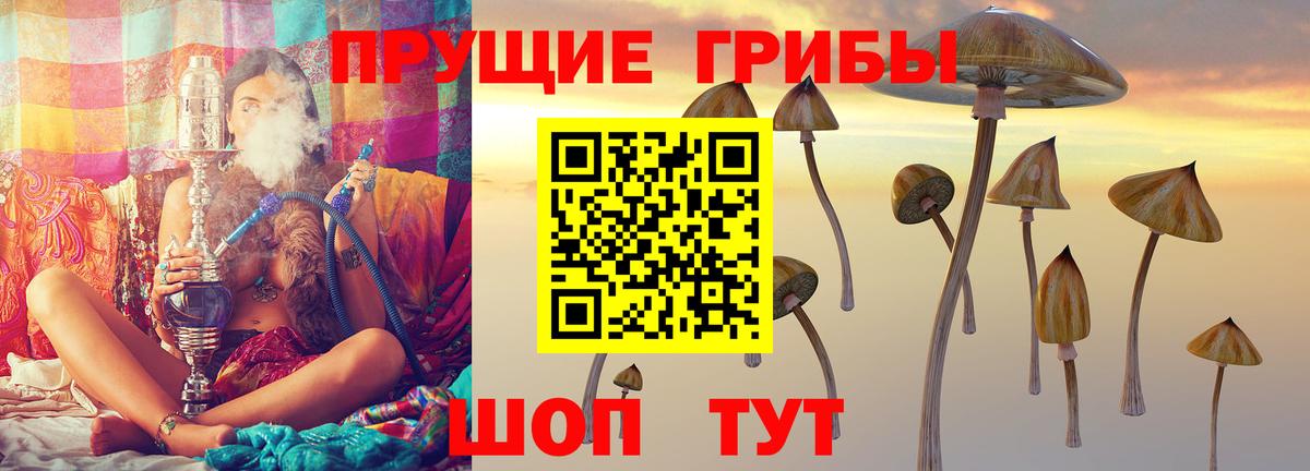 Галлюциногенные грибы Magic Shrooms Ишим
