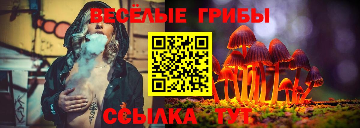 Псилоцибиновые грибы Magic Shrooms  Вход с VPN  Ишим  Псилоцибиновые грибы мухоморы 